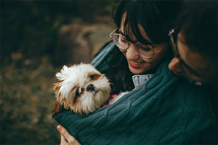 犬にも親友はいる？愛犬の友情サインと見分け方